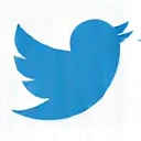 Twitter Icon